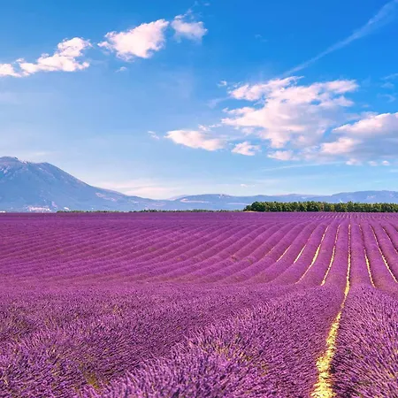 וילה Le Nid D'estoublon Estoublon